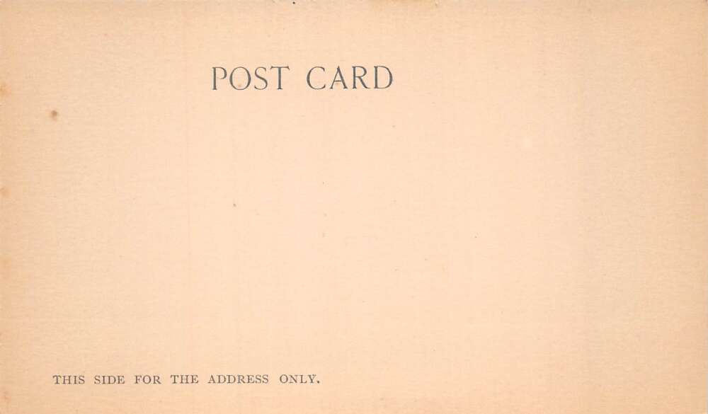 New Orleans Louisiana Gessner Souvenir Store Kodak Vintage Postcard AA106298 - Image 2