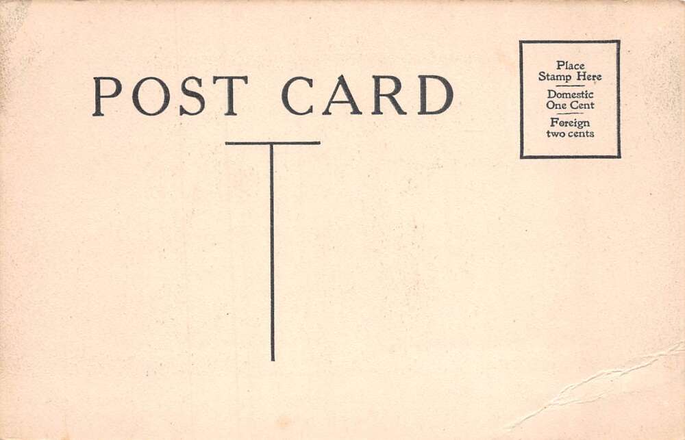 Baton Rouge Louisiana Elks House Vintage Postcard AA80415 - Image 2