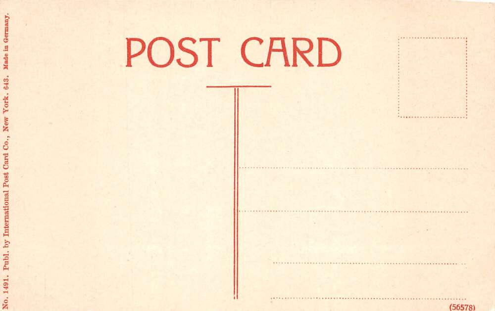 Roanoke Virginia Hollins Institute Vintage Postcard AA80480 - Image 2