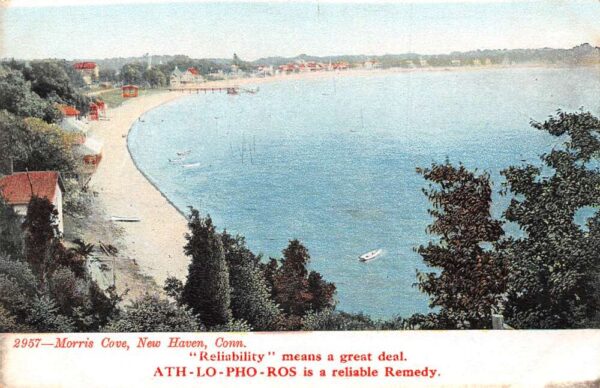 New Haven Connecticut Morris Cove Birds Eye View Vintage Postcard AA80840