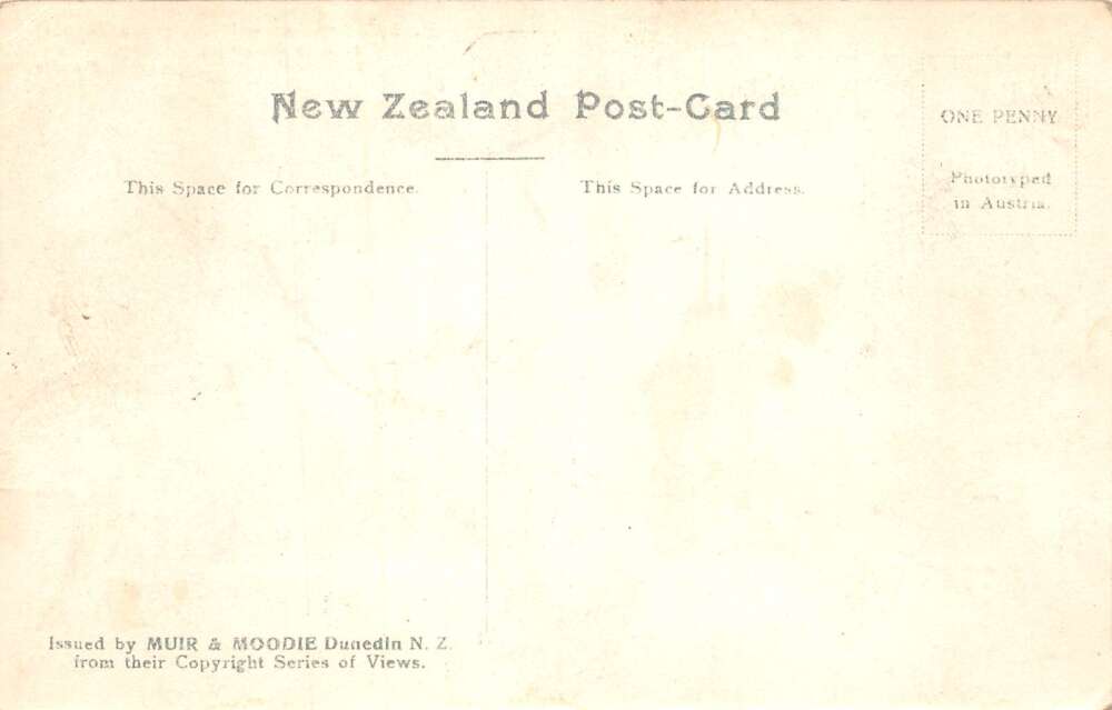 Waimiha New Zealand Ngaparu Man and Wife Maori Vintage Postcard AA81154 - Image 2