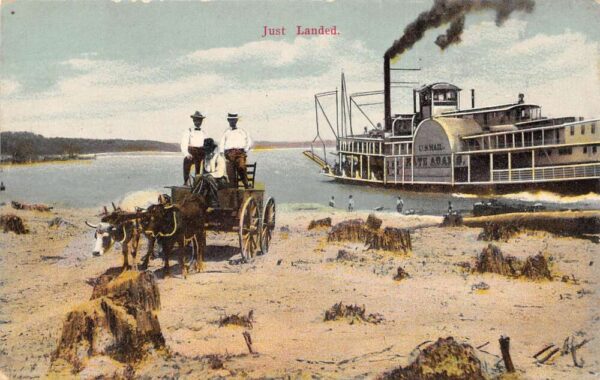 US Mail Kate Adams Paddle Steamer Boat Ox Cart Vintage Postcard AA81205