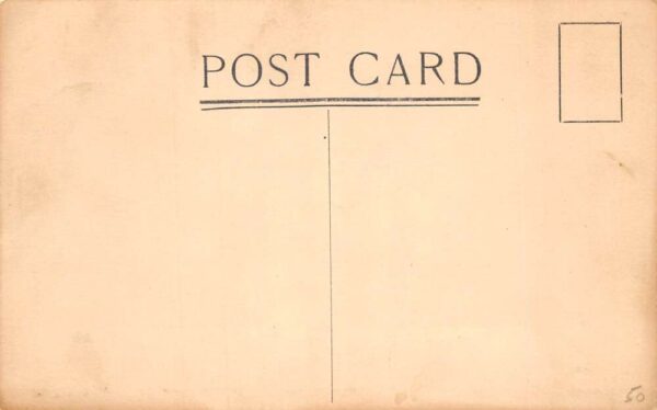 South Pasadena California Cawston Ostrich Farm Dr Woolston Postcard AA81212 - Image 2