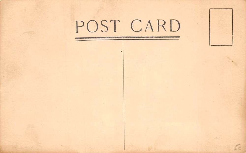 South Pasadena California Cawston Ostrich Farm Dr Woolston Postcard AA81212 - Image 2