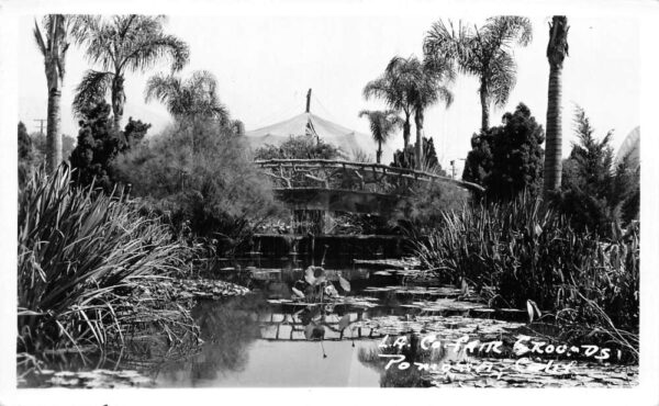 Pomona California LA County Fair Grounds Gardens Real Photo Postcard AA81274
