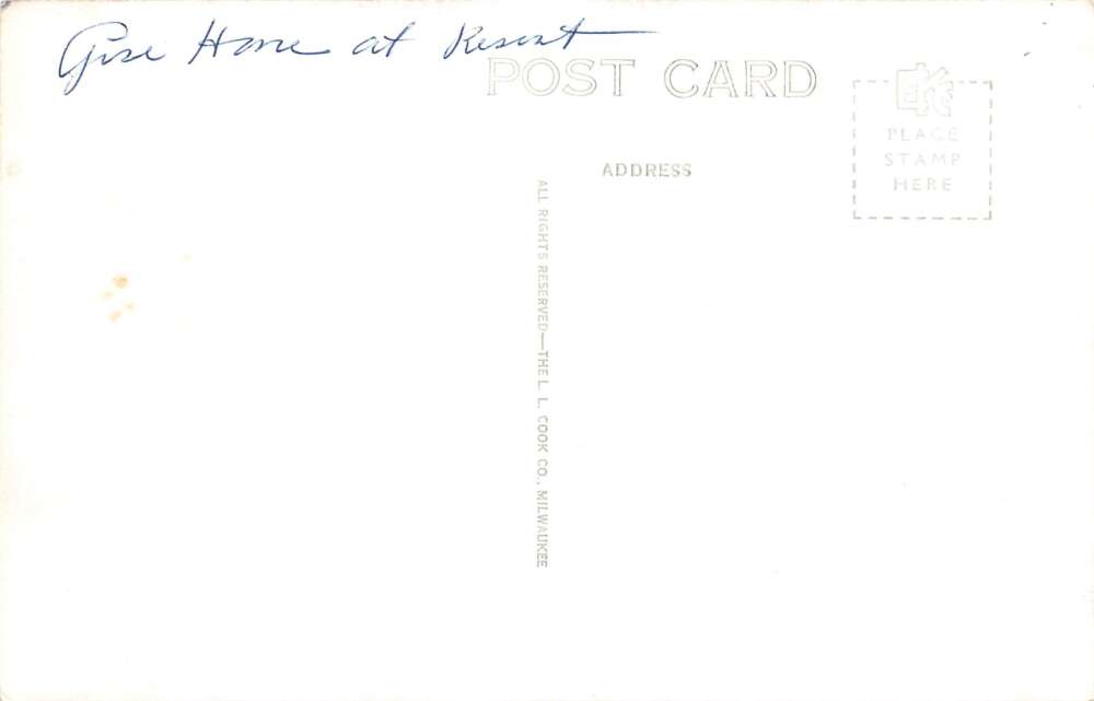 Hale Michigan Gise's Point, Sage Lake, Real Photo Vintage Postcard U17242 - Image 2