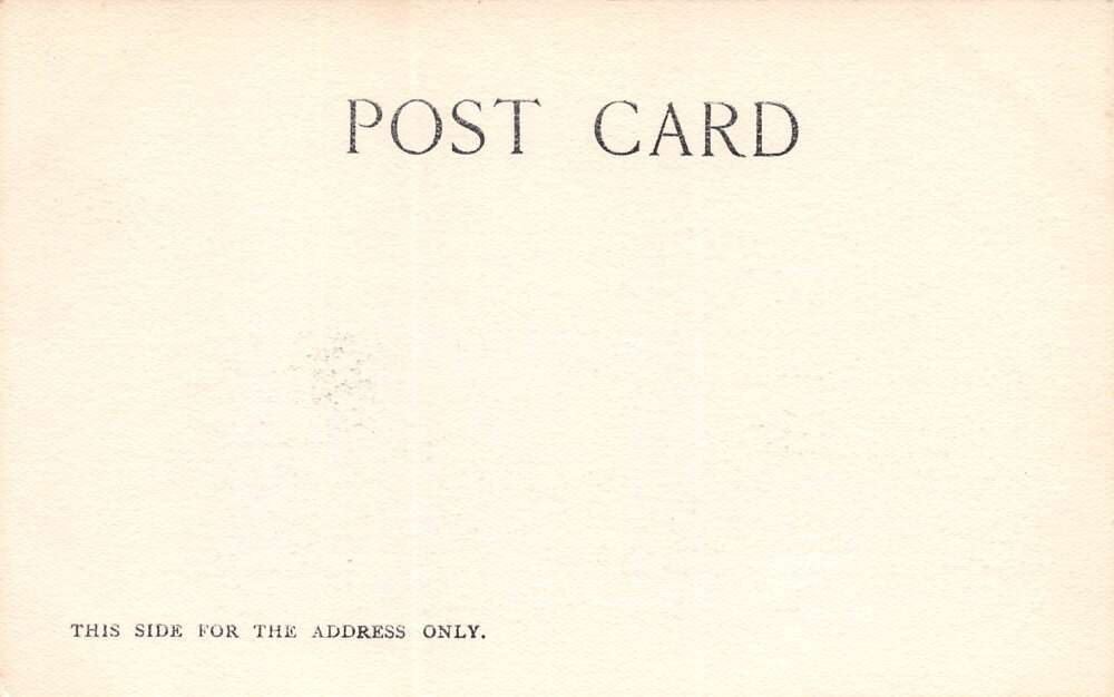 San Antonio Texas San Fernando Cathedral, Undivided Back, Vintage PC U17265 - Image 2