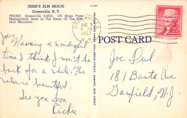 Greenville New York Jesse's Elm Shade, Multi-View Linen Vintage Postcard U17301 - Image 2