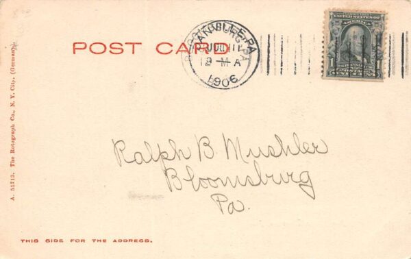 Danville Pennsylvania New Bridge, Rotograph Co., Vintage Postcard U17406 - Image 2