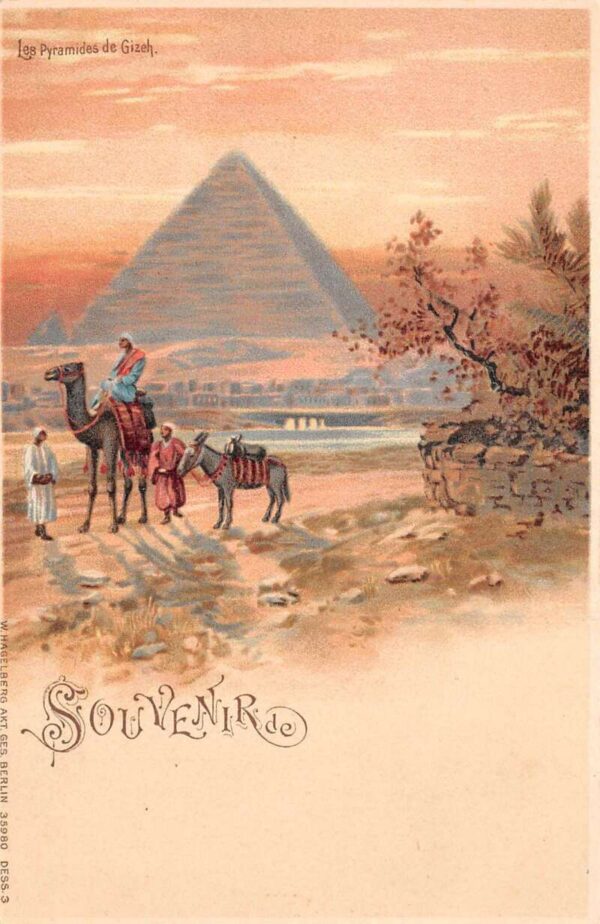 Giza Egypt Pyramids and Camels Vintage Postcard AA81629