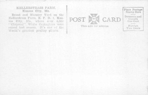 Kansas City Missouri Kellerstrass Farm Chickens Vintage Postcard AA81634 - Image 2