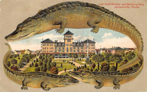 Jacksonville Florida Hotel Windsor Hemming Park Alligator Border PC AA81637