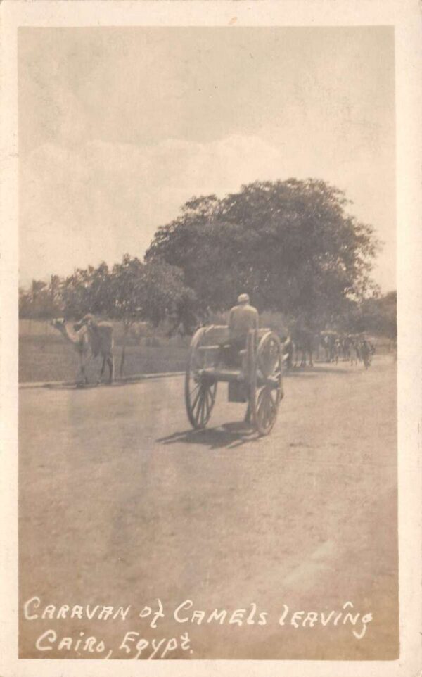 Cairo Egypt Caravan of Camels Real Photo Vintage Postcard AA81638