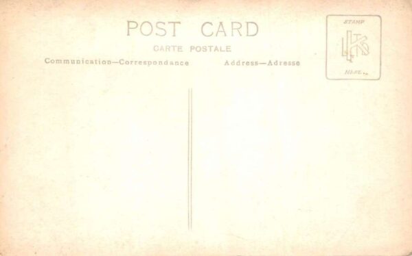 Cairo Egypt Caravan of Camels Real Photo Vintage Postcard AA81638 - Image 2
