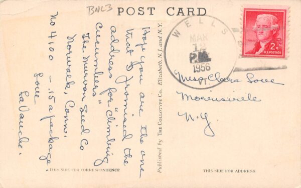 Wells Vermont Helena Carter, Hopson Benefactress, Vintage Postcard U19349 - Image 2