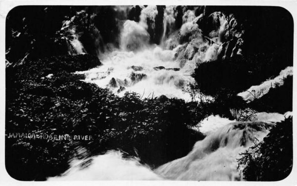 Jamaica Waterfalls and River Real Photo Vintage Postcard AA85400