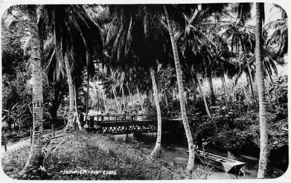 Jamaica Rio Cobre Bridge Scenic View Real Photo Vintage Postcard AA85401