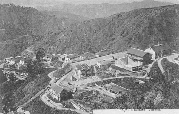 Newcastle Jamaica Birds Eye View Vintage Postcard AA85408