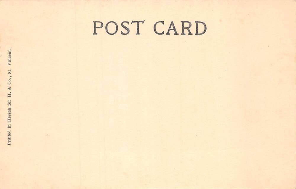 St Vincent Island Ancient Cotton Tree Scenic View Vintage Postcard AA85417 - Image 2