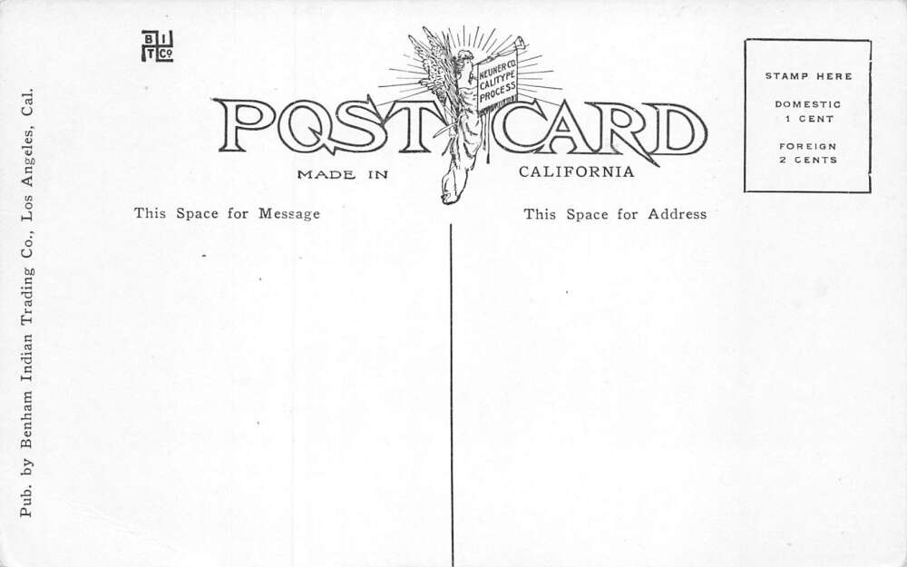 Pomona California San Antonio Fruit Packing Co Interior View Postcard AA85440 - Image 2