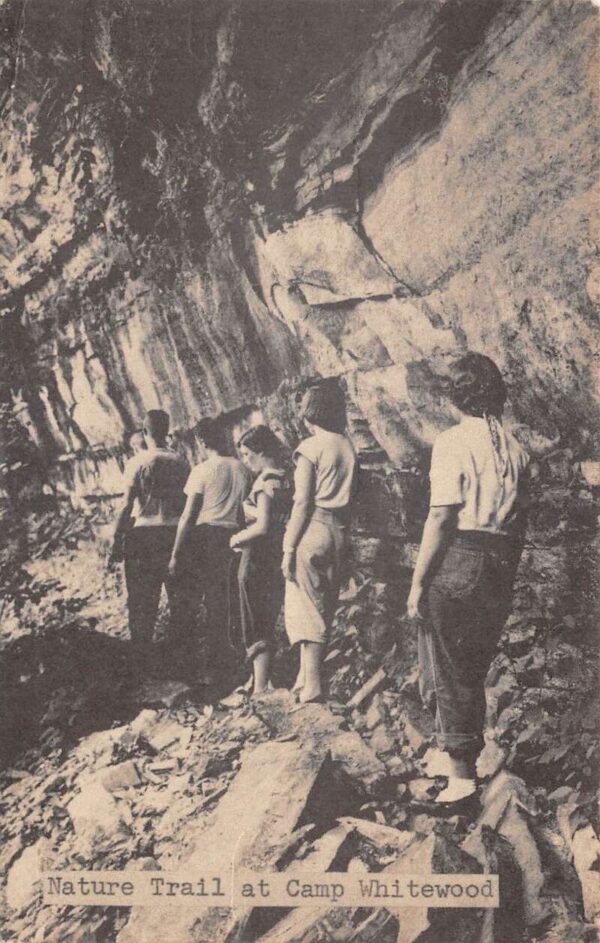 Windsor Mills Ohio Camp Whitewood Nature Trail Vintage Postcard AA85482
