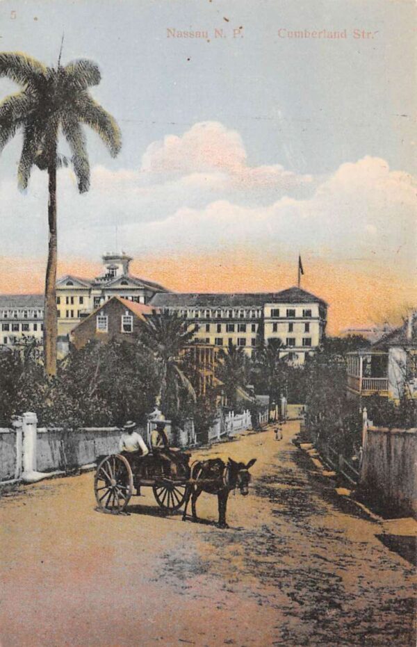 Nassau NP Bahamas Cumberland Street Donkey Cart Vintage Postcard AA85502