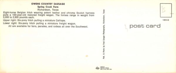 Richardson Texas Spring Creek Farm Horse Team Extra Wide Postcard AA85549 - Image 2