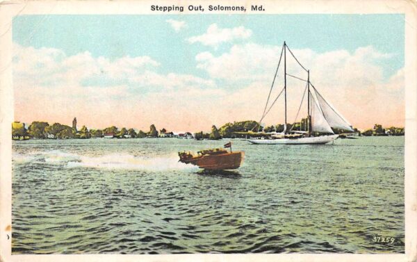Solomons Maryland Sailing Scene, White Border, Vintage Postcard U19573