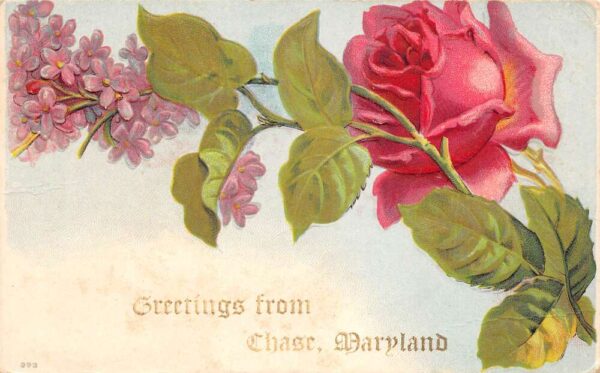 Chase Maryland Greetings From Chase, Flower Greeting, Vintage Postcard U19575