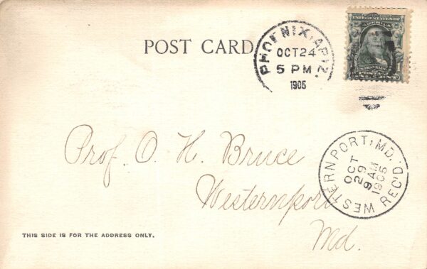 Phoenix Arizona Irrigation Scenes, Undivided Back, Vintage Postcard U19589 - Image 2