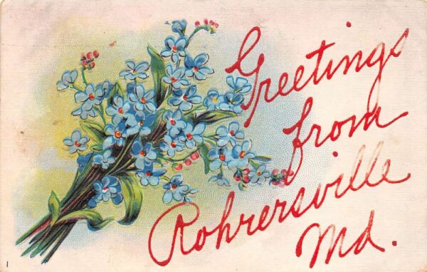 Rohrersville Maryland Greetings From Rohrersville, Flowers, PC U19619
