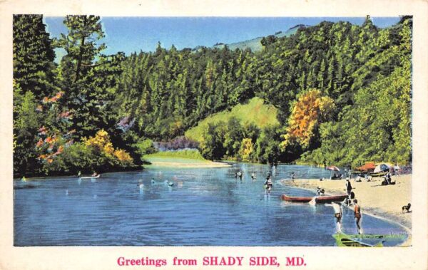 Shady Side Maryland Greetings From Shady Side, White Border, Vintage PC U19623