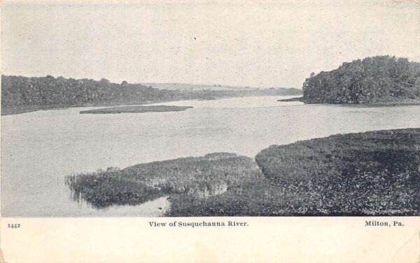 Milton Pennsylvania View Of Susquehanna River, Undivided Back, Vintage PC U19804