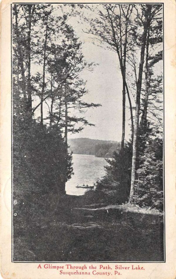 Silver Lake Township Pennsylvania Glimpse Through Path, Silver Lake, PC U19809