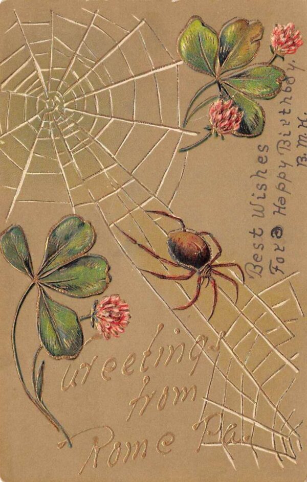 Rome Pennsylvania Greetings From Rome, Spider With Web & Clovers, PC U19811