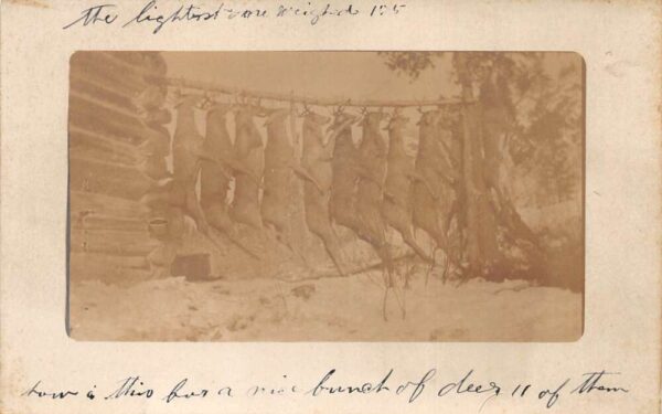 Newberry Michigan Deer Hunting Log Cabin Real Photo Vintage Postcard AA85739