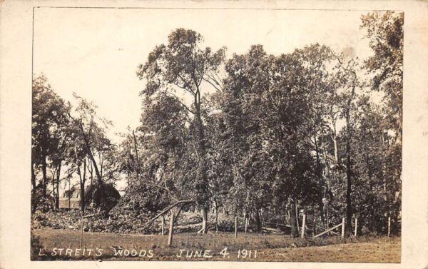 L Streits Woods Scenic View Real Photo Vintage Postcard AA85745