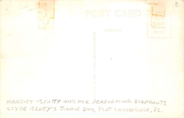 Fort Lauderdale Florida Harriet and Her Elephants Real Photo PC AA106442 - Image 2