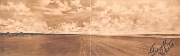 Daytona Florida Beach Speedway Car Racing Fold Out Bi-Fold Postcard AA106453