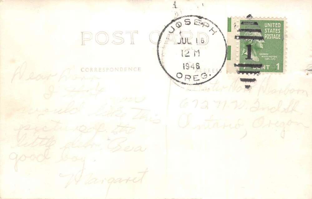 Wallowa County Oregon Orphan Deer and Cow Real Photo Vintage Postcard AA106647 - Image 2