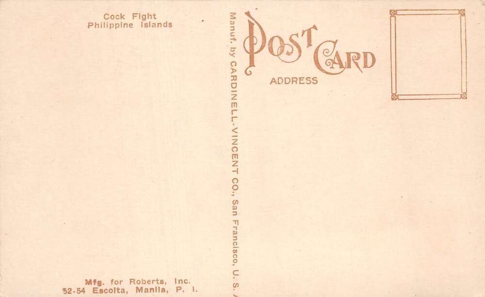 Philippines Rooster Cock Fight Vintage Postcard AA106758 - Image 2