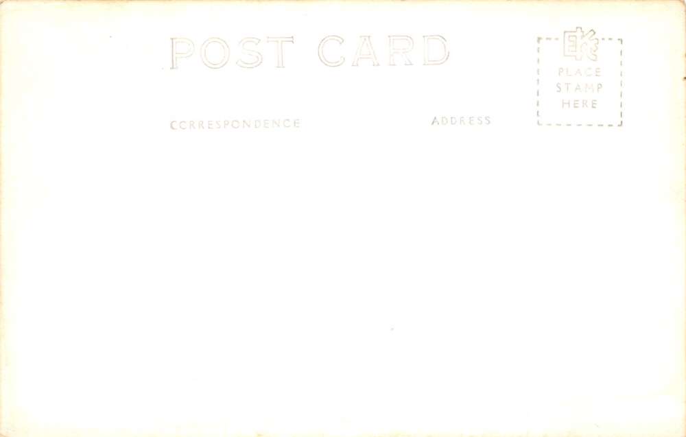 Maple Springs New York Midway Park Picnic Grove Real Photo Postcard AA107037 - Image 2