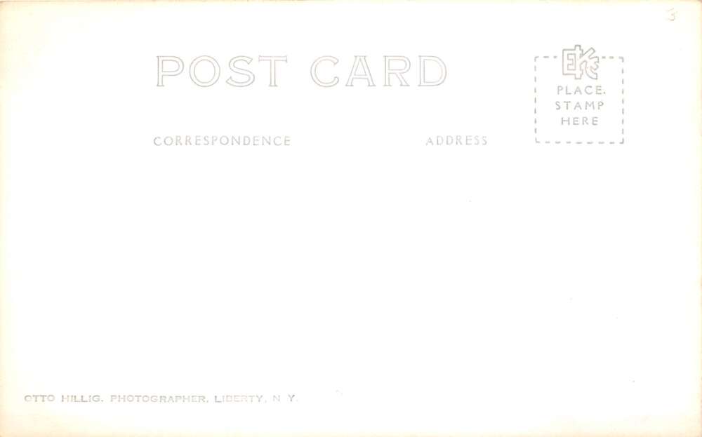 Narrowsburg New York Fox Lake from Hotel Real Photo Postcard AA107087 - Image 2