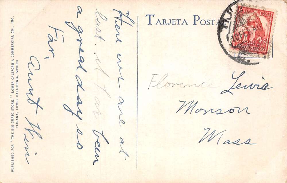 Tijuana Mexico Greetings Humor Lady in Champagne Glass Cerveza Beer PC AA74380 - Image 2