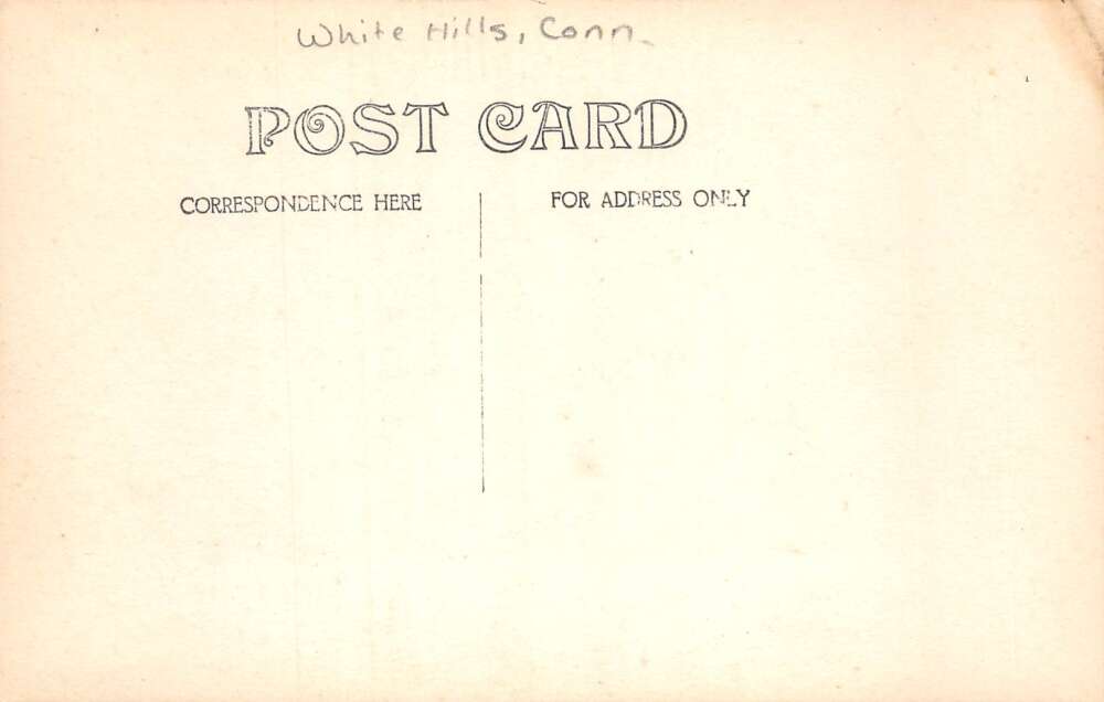 White Hills Connecticut Arcadia Farm Battle Military Wagon Real Photo PC AA77780 - Image 2