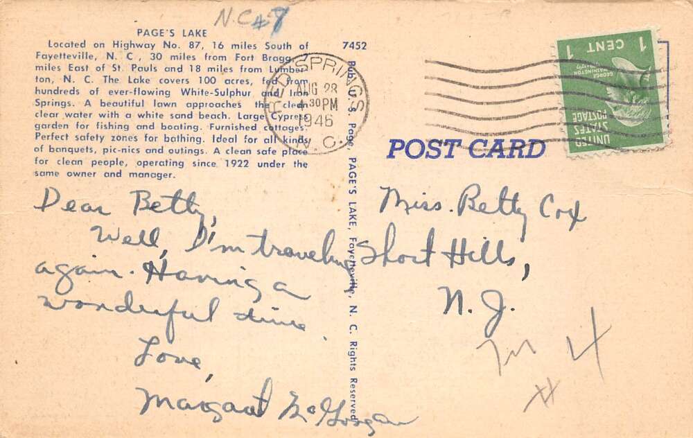 St Pauls North Carolina Lumberton High Diving at Page's Lake Postcard AA77941 - Image 2