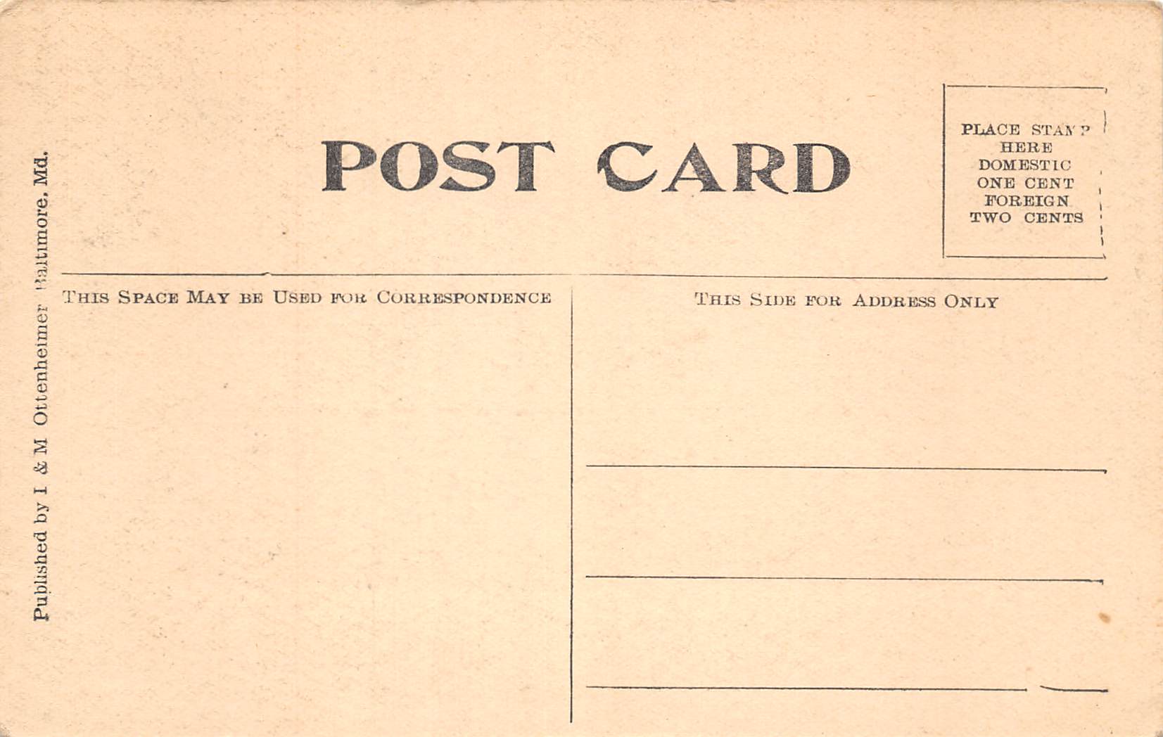 Washington D.C. President & Mrs. Wilson Reviewing Preparedness Parade,PC U15738 - Image 2