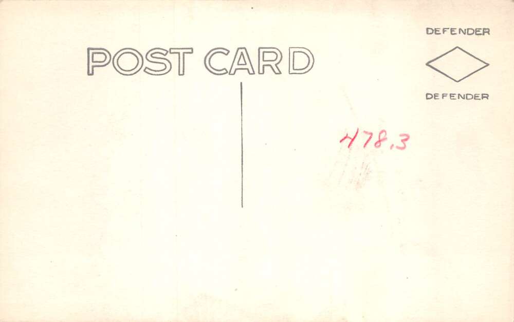 Chamberlain South Dakota Custers Last Stand Real Photo Vintage Postcard AA78144 - Image 2