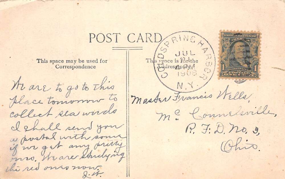 Huntington Long Island New York Eaton's Neck Beach Scene Postcard AA78302 - Image 2