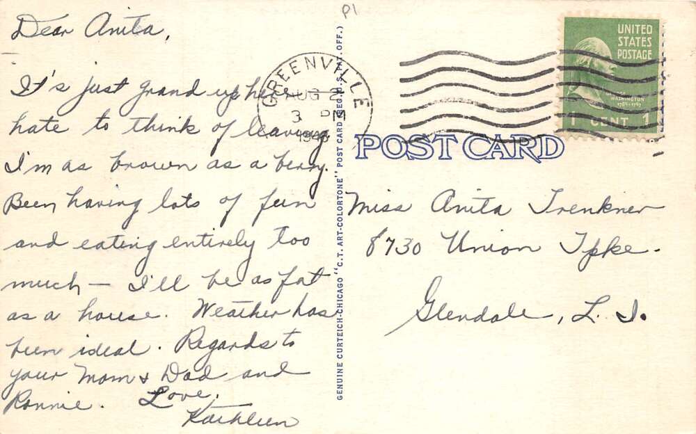 Greenville New York The Shepard Farm Birds Eye View Vintage Postcard AA78412 - Image 2